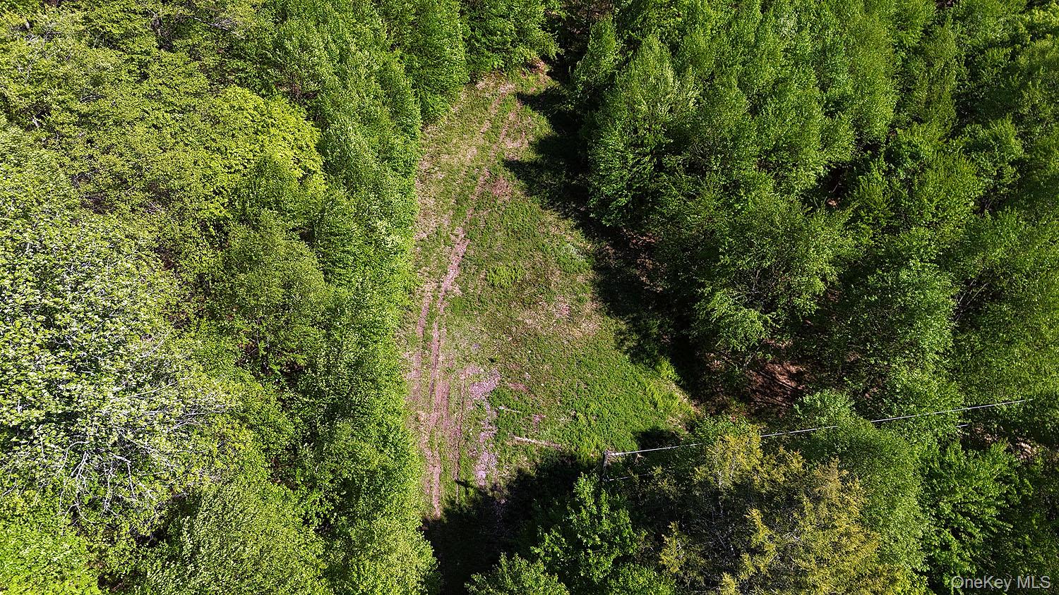 John Milk Road Long Eddy, NY 13783 - Photo 35 of 50 a view of a lush green forest