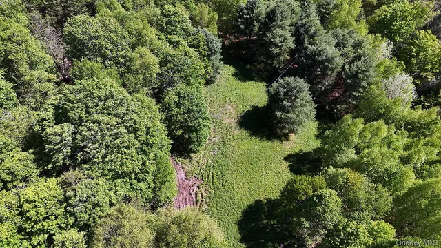 a view of a yard with plants