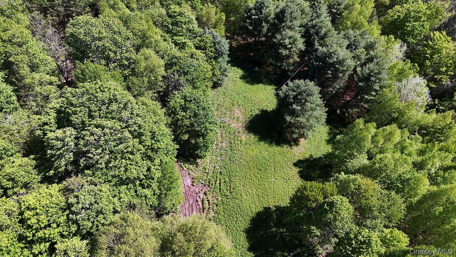 John Milk Road Long Eddy, NY 13783 - Photo 36 of 50 a view of a garden