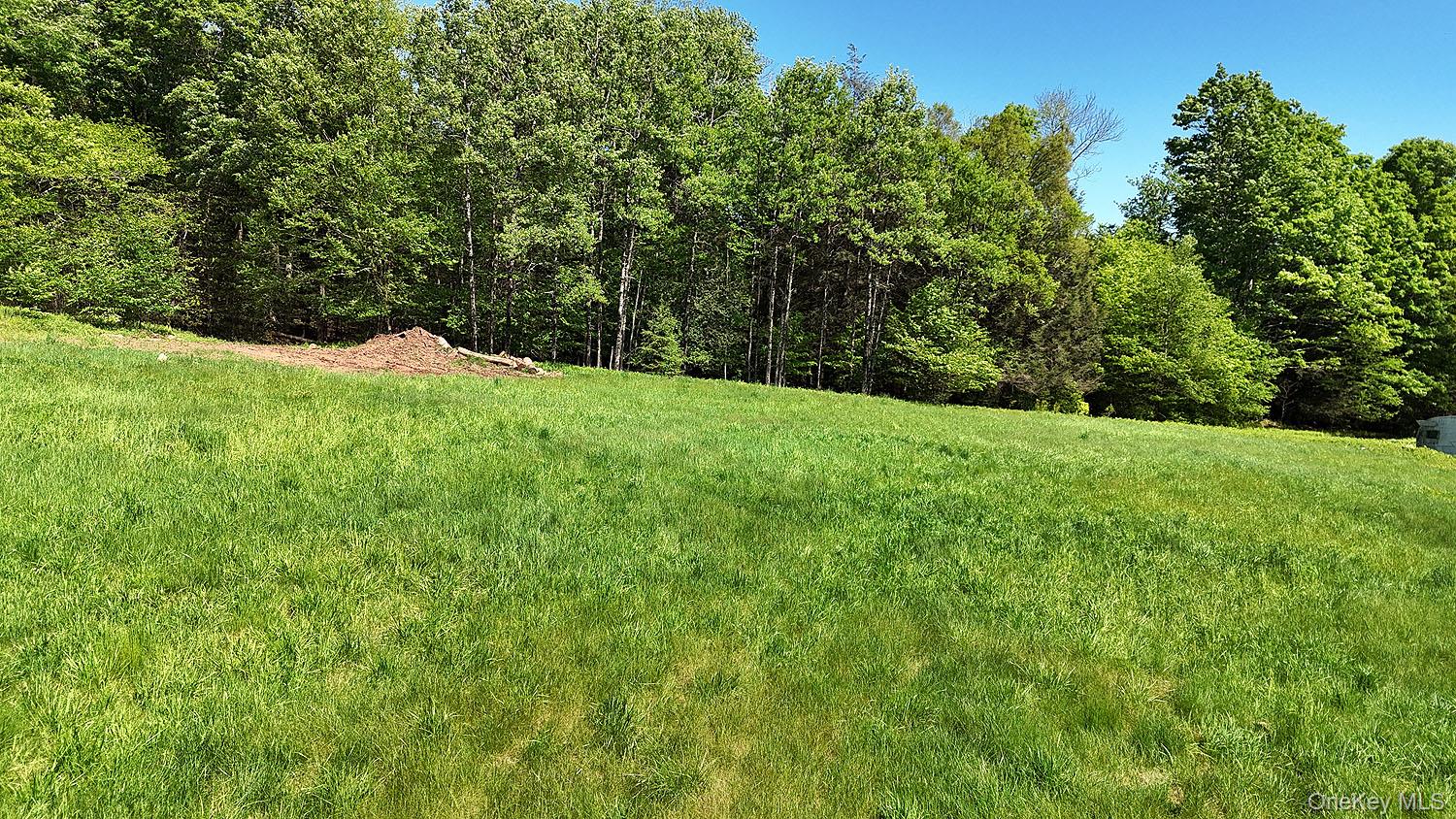 John Milk Road Long Eddy, NY 13783 - Photo 38 of 50 a view of a big yard with large trees