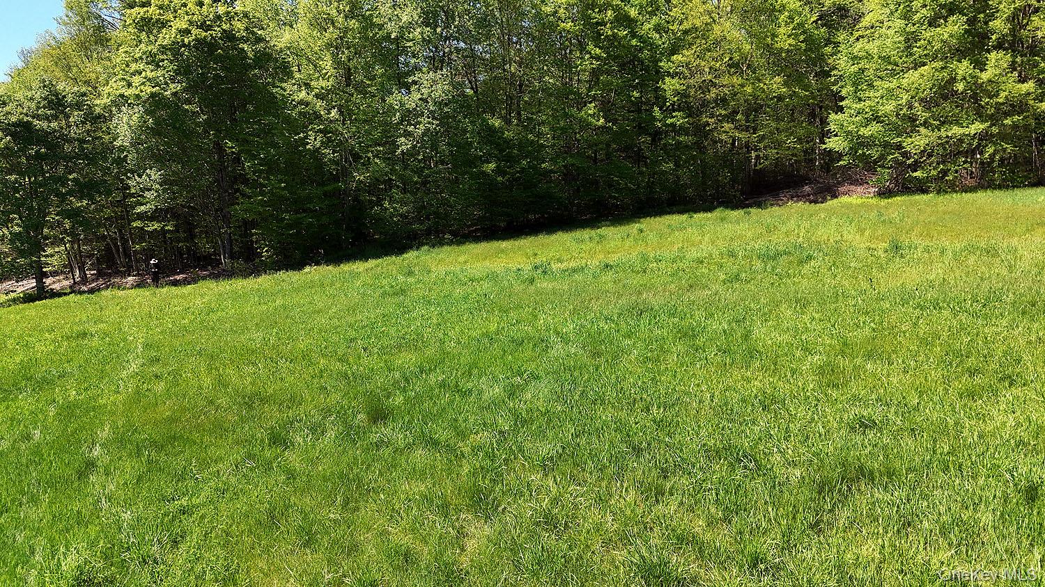 John Milk Road Long Eddy, NY 13783 - Photo 39 of 50 a view of backyard with green space