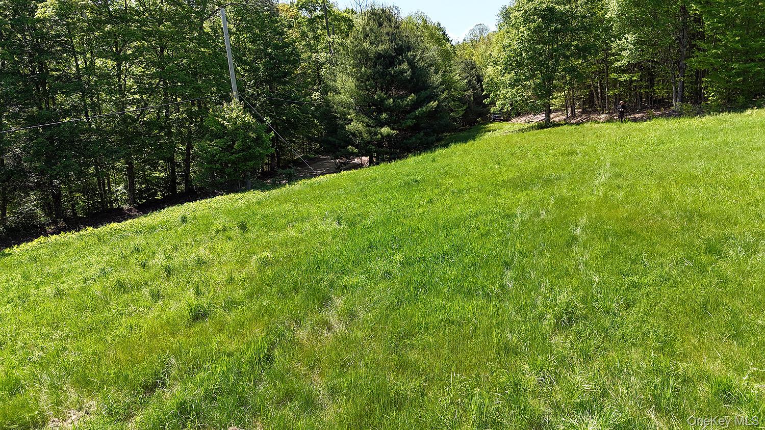 John Milk Road Long Eddy, NY 13783 - Photo 40 of 50 a view of a green field with lots of bushes