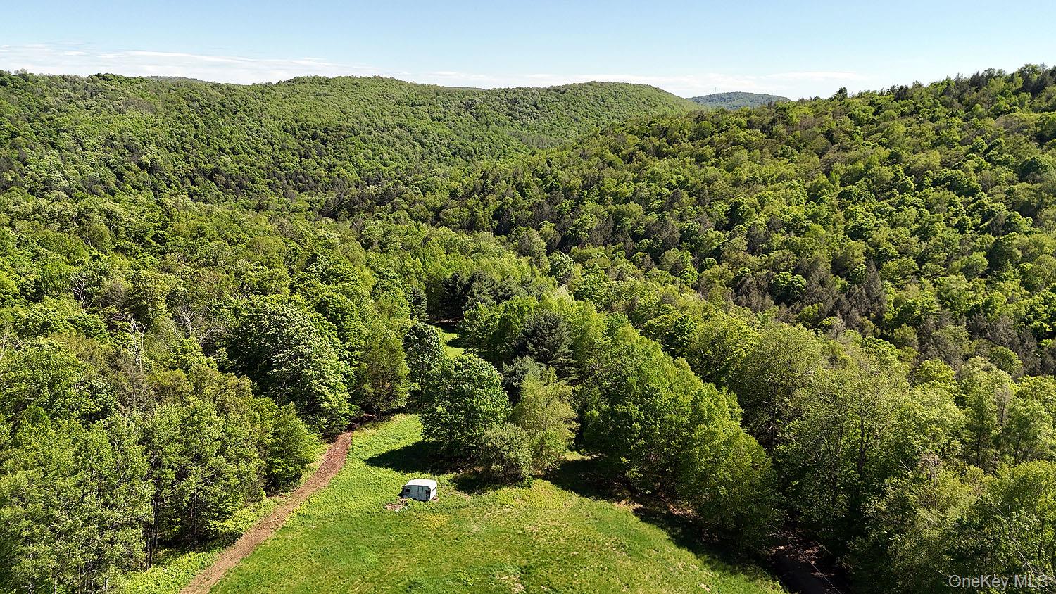 John Milk Road Long Eddy, NY 13783 - Photo 41 of 50 a view of a green field with lots of bushes