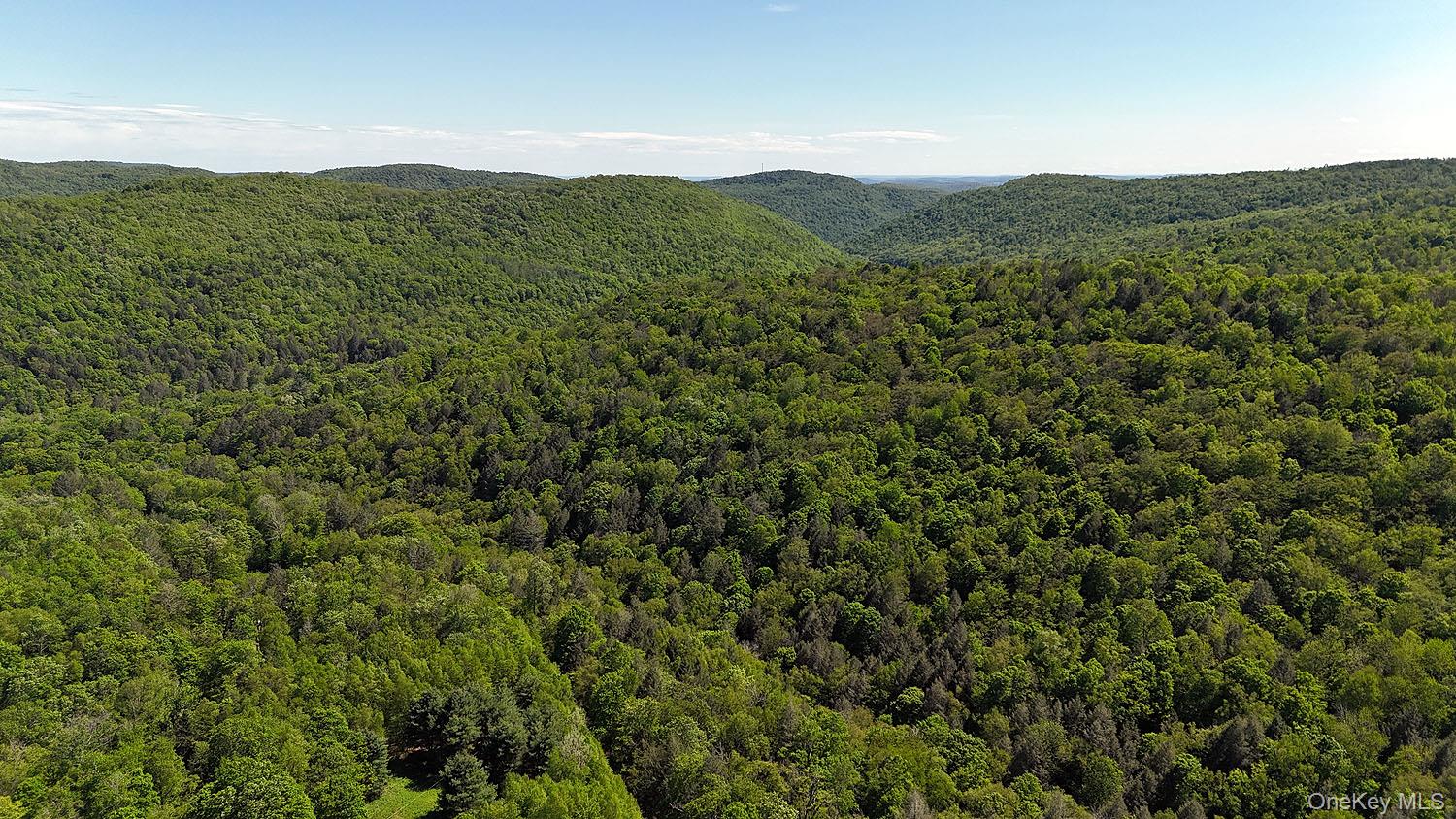 John Milk Road Long Eddy, NY 13783 - Photo 42 of 50 a view of a mountain range with lush green forest