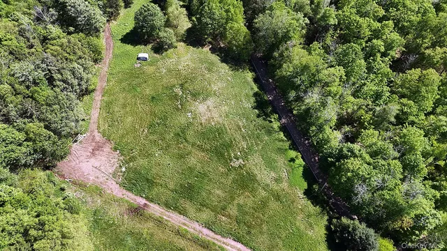 a view of a lush green forest with a mountain