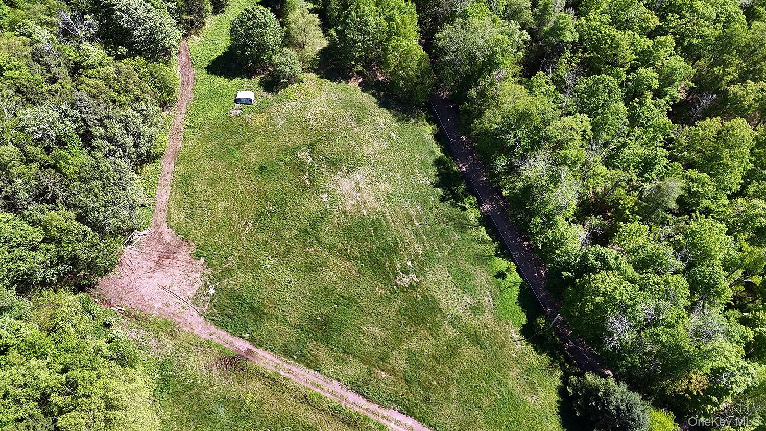 John Milk Road Long Eddy, NY 13783 - Photo 43 of 50 a view of a garden