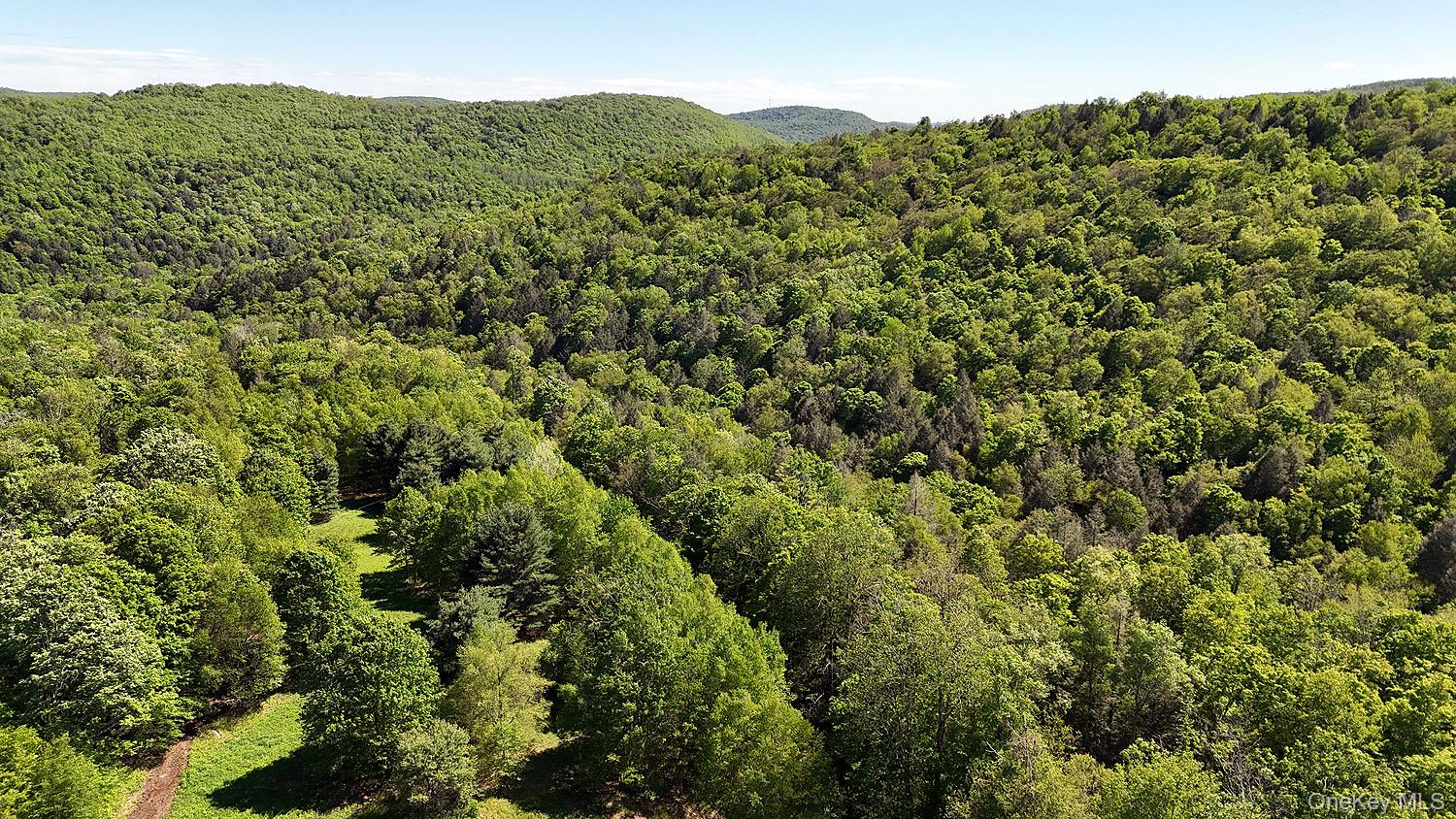 John Milk Road Long Eddy, NY 13783 - Photo 44 of 50 a view of a lush green forest with a mountain