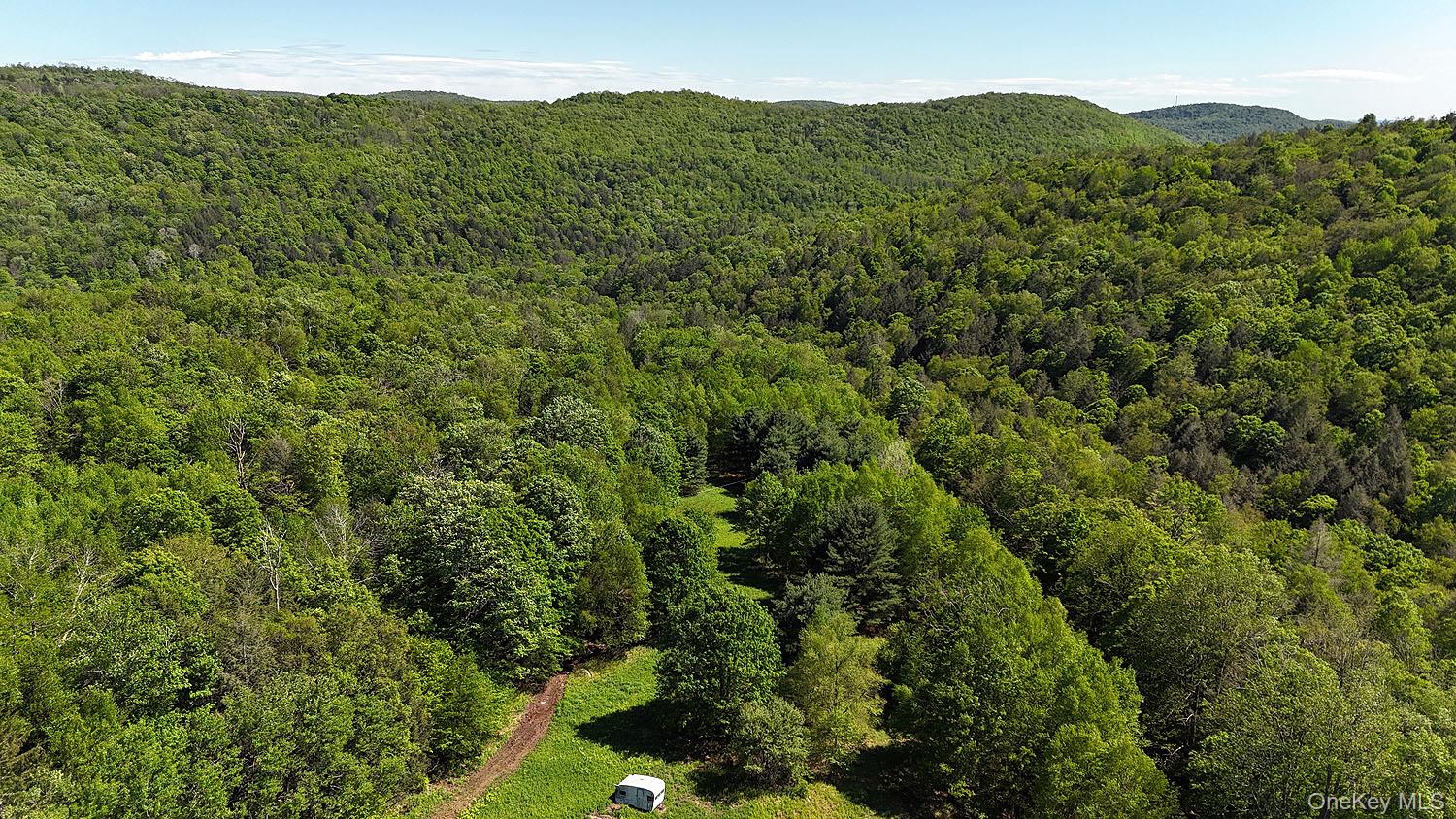 John Milk Road Long Eddy, NY 13783 - Photo 45 of 50 a view of a mountain in the distance in a field