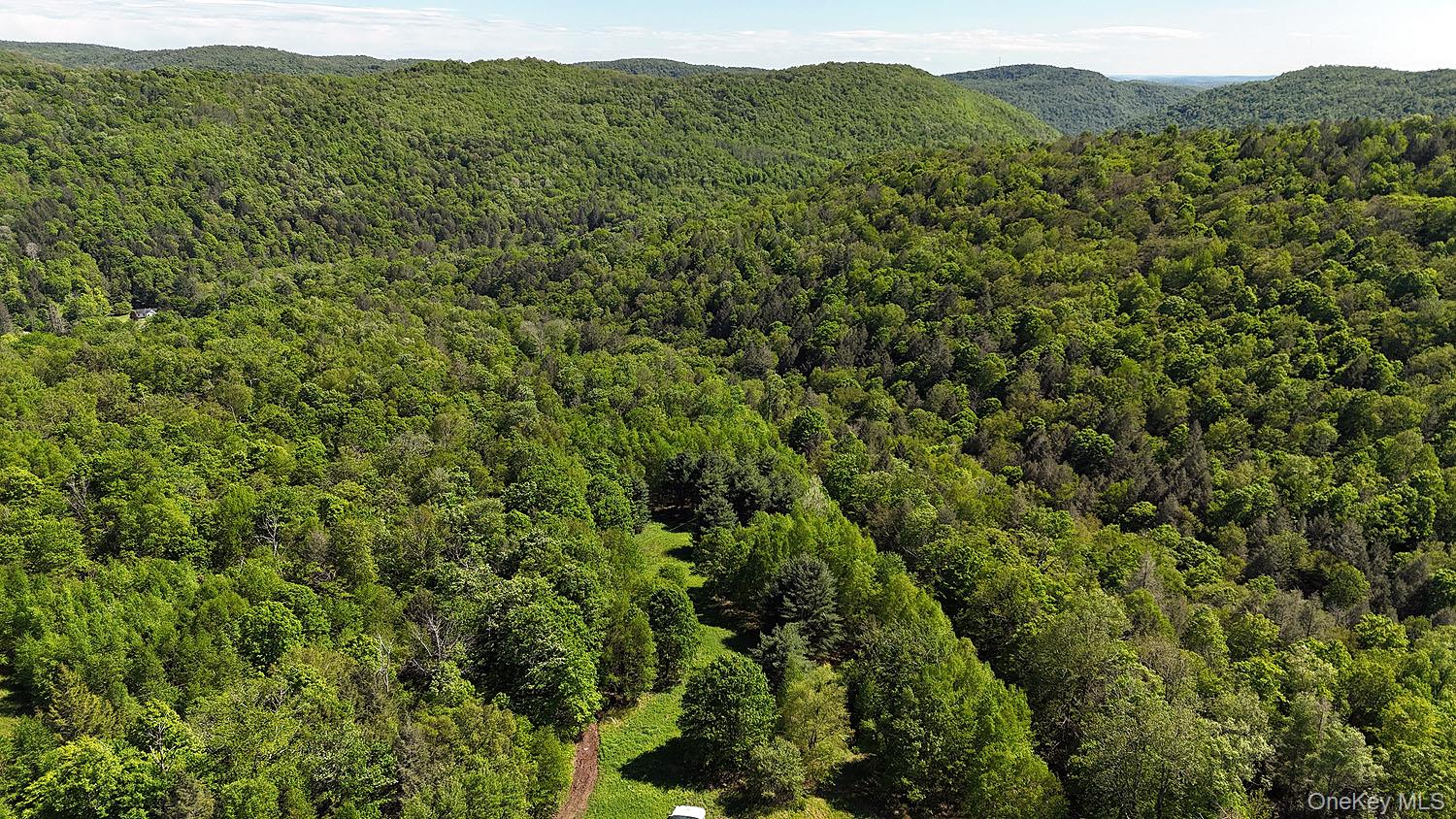 John Milk Road Long Eddy, NY 13783 - Photo 46 of 50 a view of a lush green forest with trees in the background