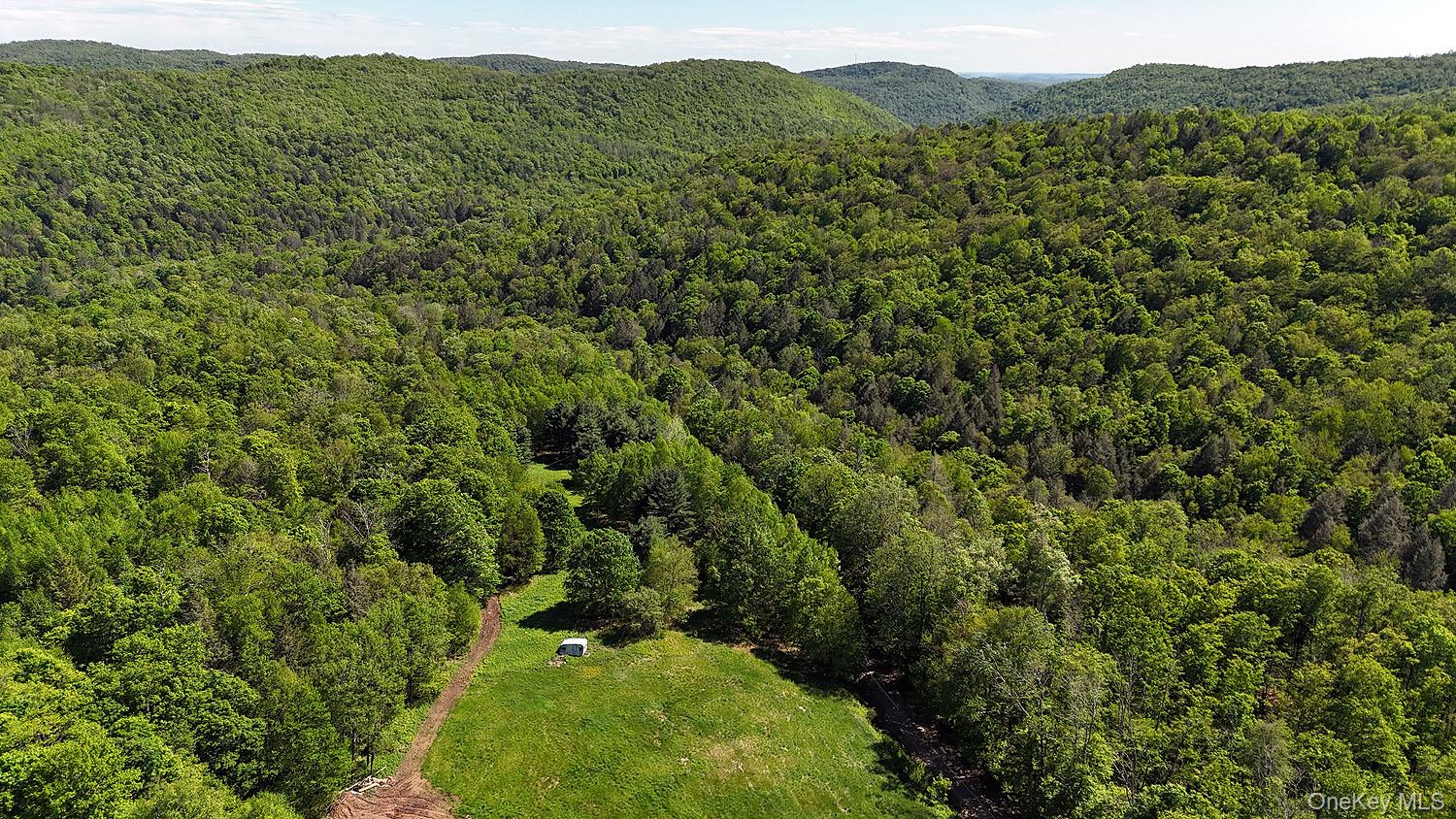 John Milk Road Long Eddy, NY 13783 - Photo 47 of 50 a view of a lush green forest with a lush green forest