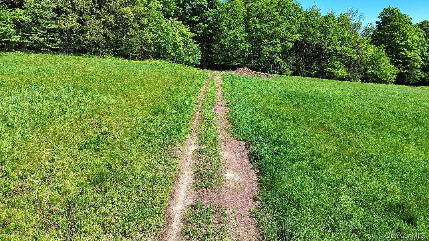 John Milk Road Long Eddy, NY 13783 - Photo 49 of 50