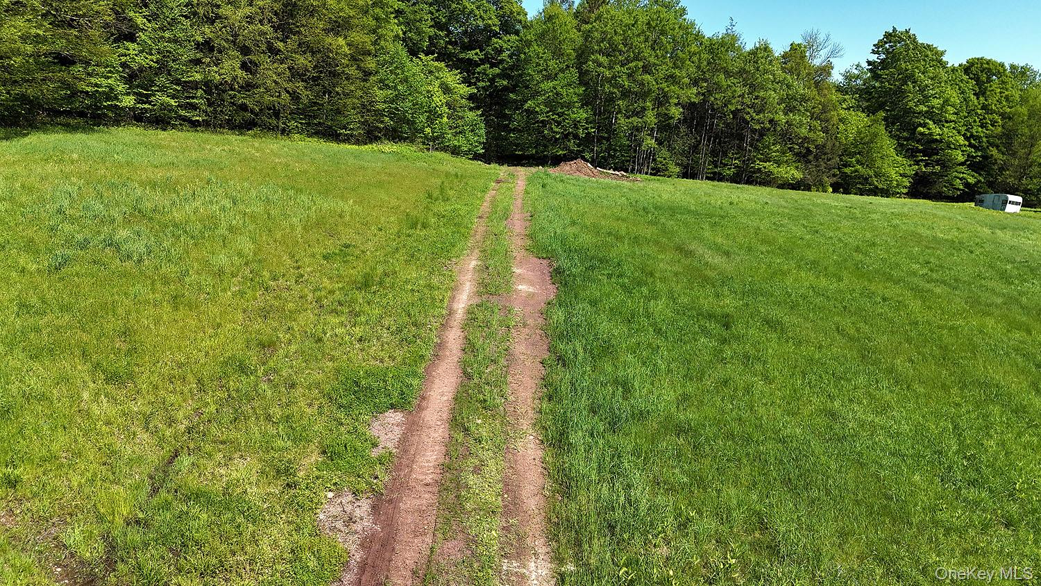 John Milk Road Long Eddy, NY 13783 - Photo 50 of 50 a view of a yard with a trees