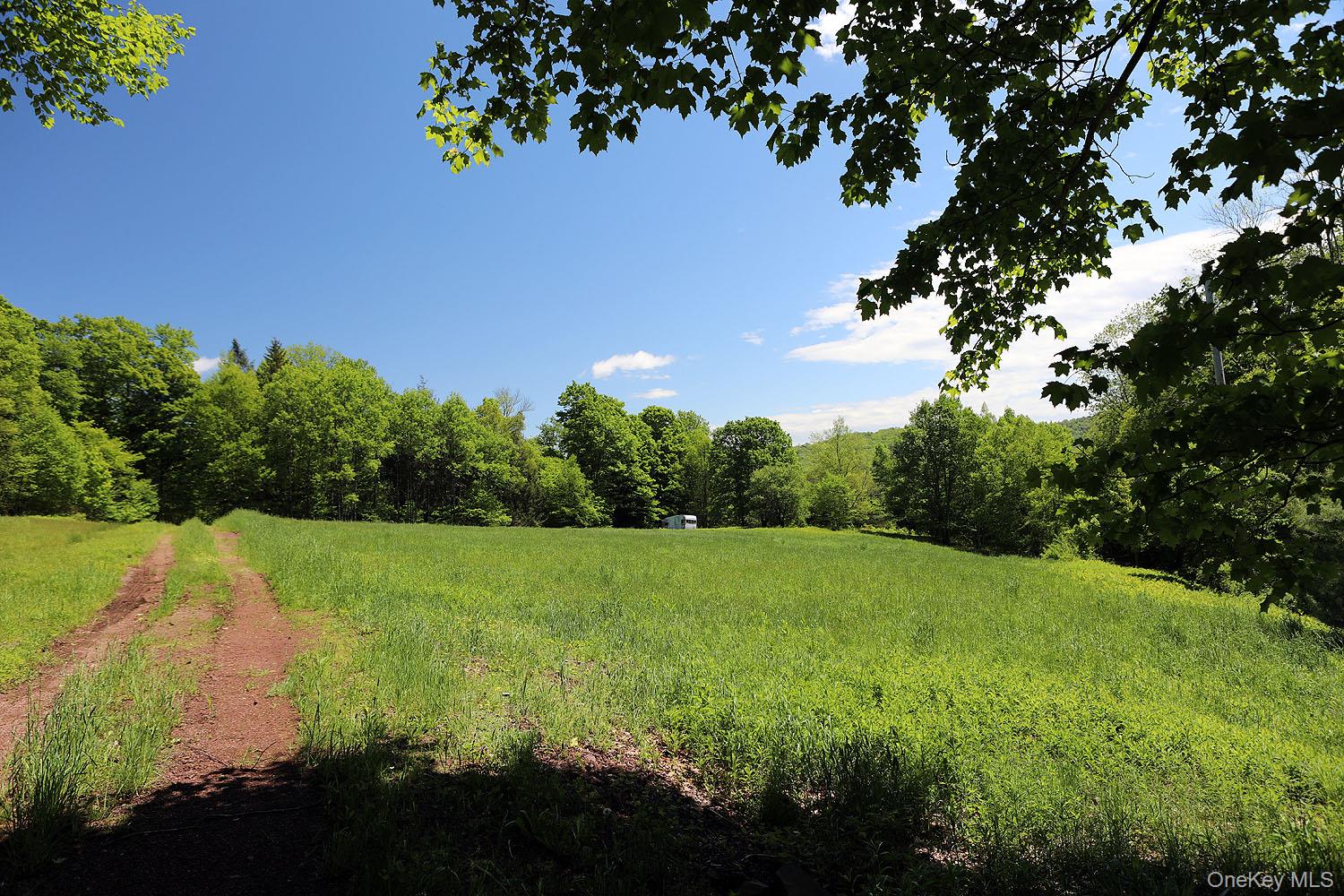 John Milk Road Long Eddy, NY 13783 - Photo 6 of 50 a view of field with tall trees