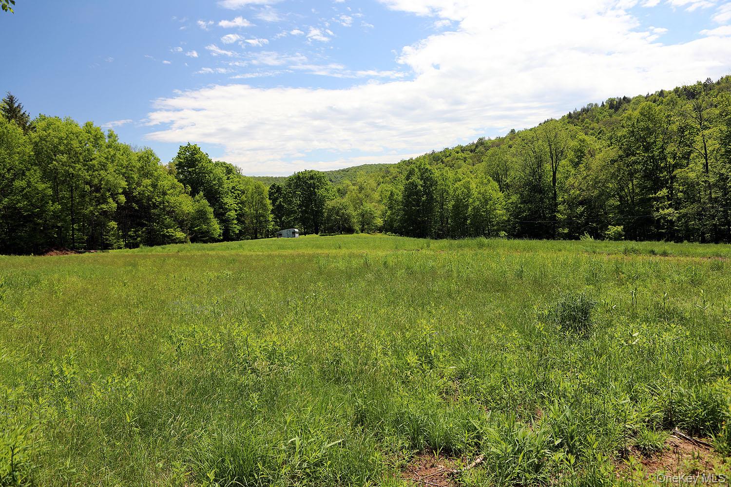 John Milk Road Long Eddy, NY 13783 - Photo 7 of 50 a view of a grassy field with trees in the background