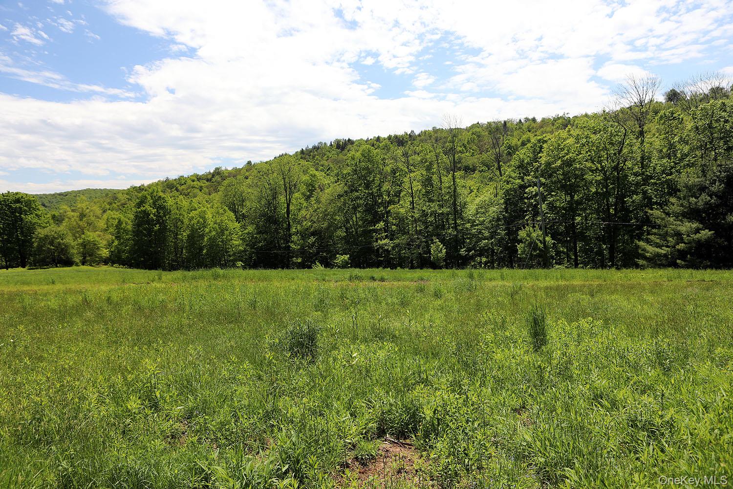 John Milk Road Long Eddy, NY 13783 - Photo 8 of 50 a view of green field with trees in the background