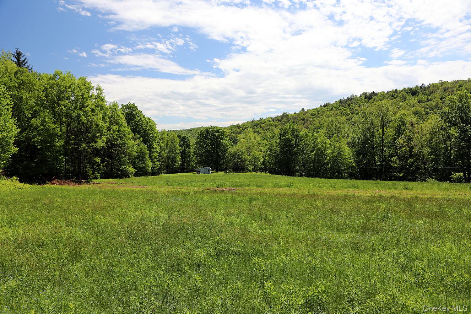 John Milk Road Long Eddy, NY 13783 - Photo 9 of 50 a view of a yard with an trees