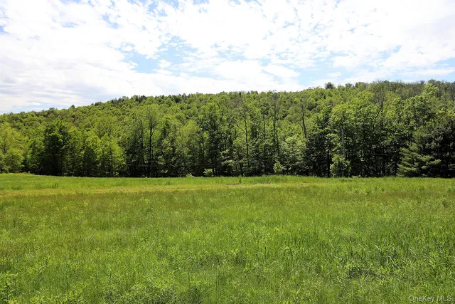 a view of field with lush green forest