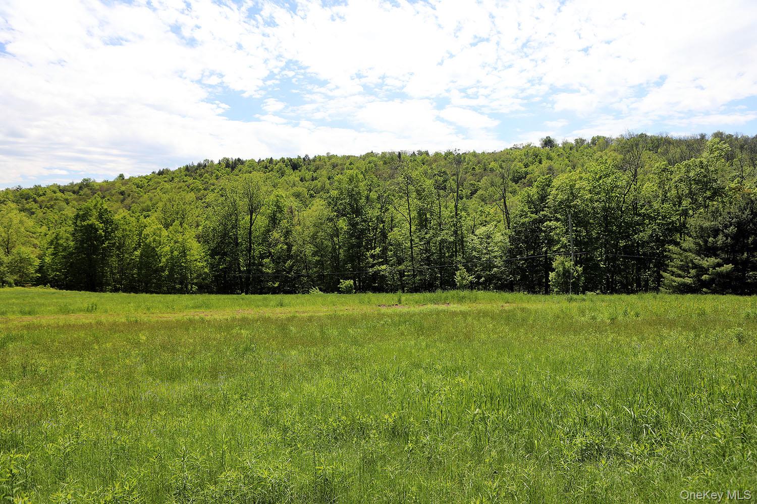 John Milk Road Long Eddy, NY 13783 - Photo 10 of 50 a view of field with lush green forest