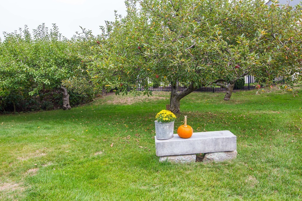 64 Chamberlain Road Westford, MA 01886 - Photo 25 of 27 a view of a garden with lawn chairs
