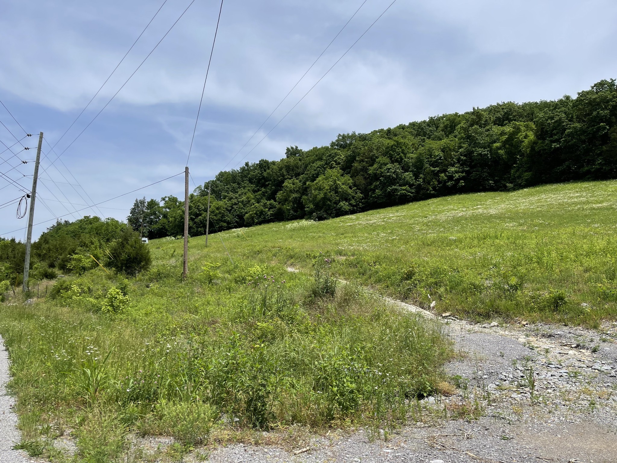7975 Statesville Road Watertown, TN 37184 - Photo 4 of 7 Gallery Image 4
