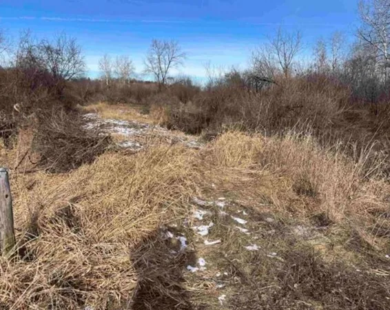 $25,000 | 0 Grapevine Avenue, Tomah, WI 54660