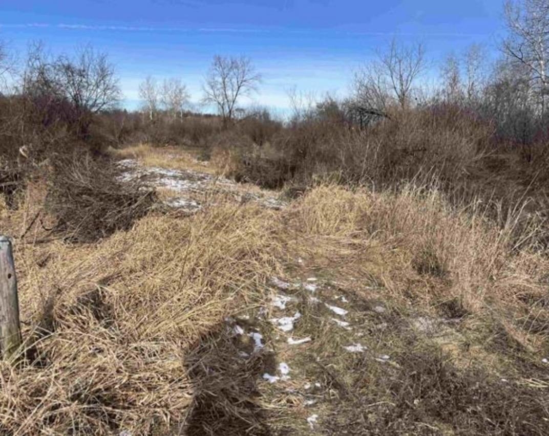 0 Grapevine Avenue Tomah, WI 54660 - Photo 1 of 11