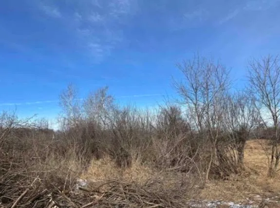 $25,000 | 0 Grapevine Avenue, Tomah, WI 54660