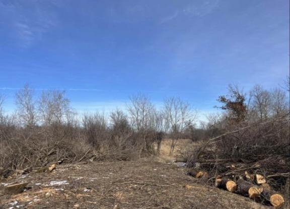 0 Grapevine Avenue Tomah, WI 54660 - Photo 3 of 11