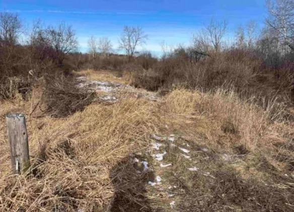 $25,000 | 0 Grapevine Avenue, Tomah, WI 54660