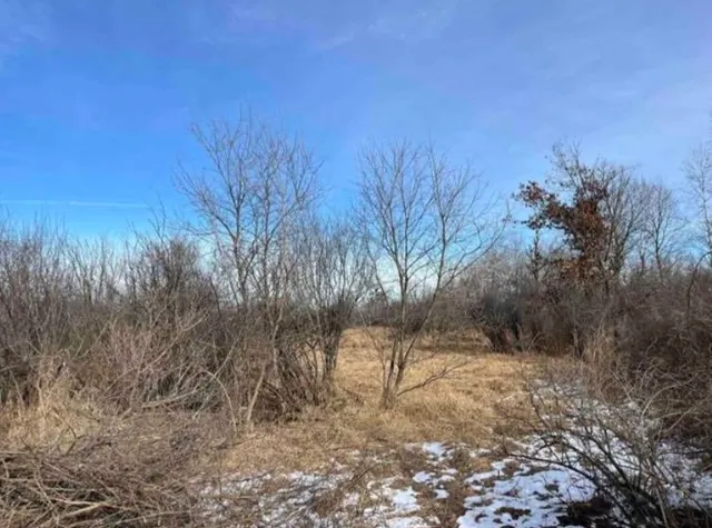 $25,000 | 0 Grapevine Avenue, Tomah, WI 54660