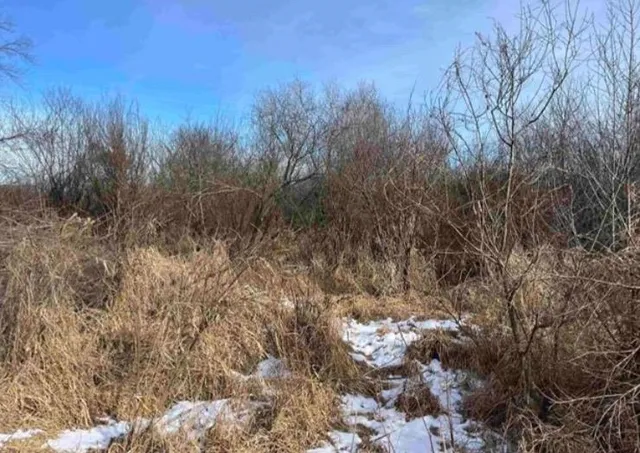 $25,000 | 0 Grapevine Avenue, Tomah, WI 54660