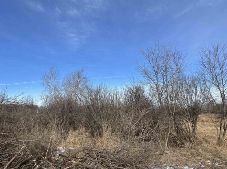 0 Grapevine Avenue Tomah, WI 54660 - Photo 7 of 11