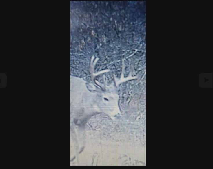 0 Grapevine Avenue Tomah, WI 54660 - Photo 9 of 11