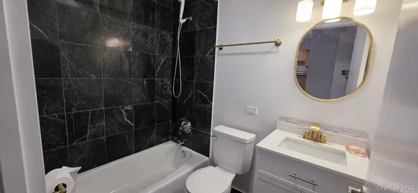 a bathroom with a toilet and a bathtub