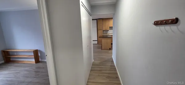 a view of a hallway with a closet