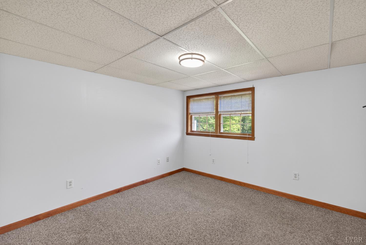 151 Ridgeview Lane Madison Heights, VA 24572 - Photo 20 of 43