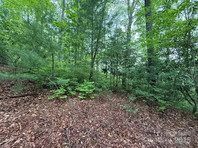 a view of a large yard with lots of green space