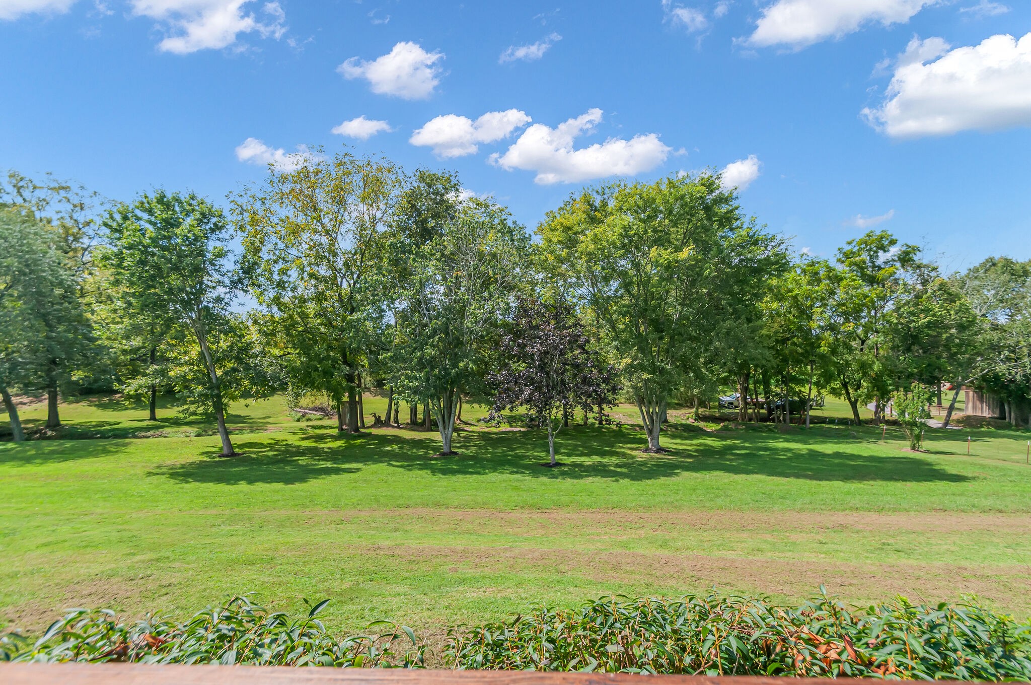 1411 Harris Hollow Road Charlotte, TN 37036 - Photo 39 of 43 Gallery Image 39
