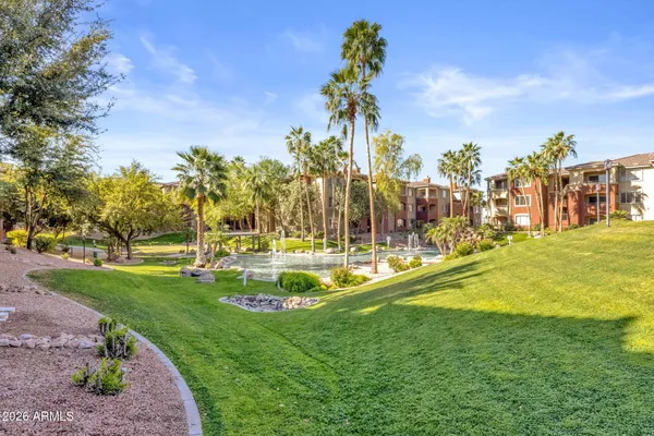 a view of a park with large trees