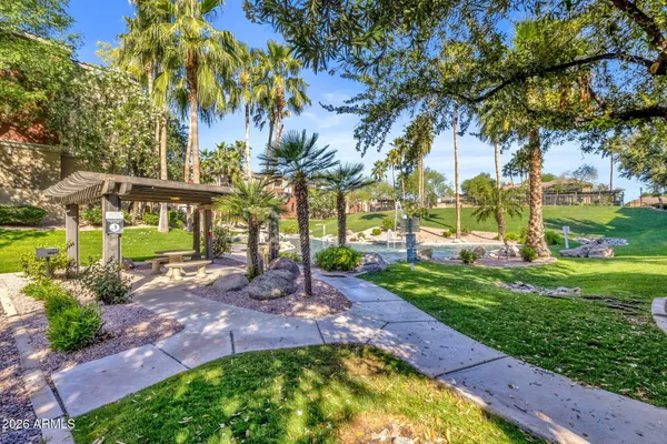 a view of a park with a plants and trees