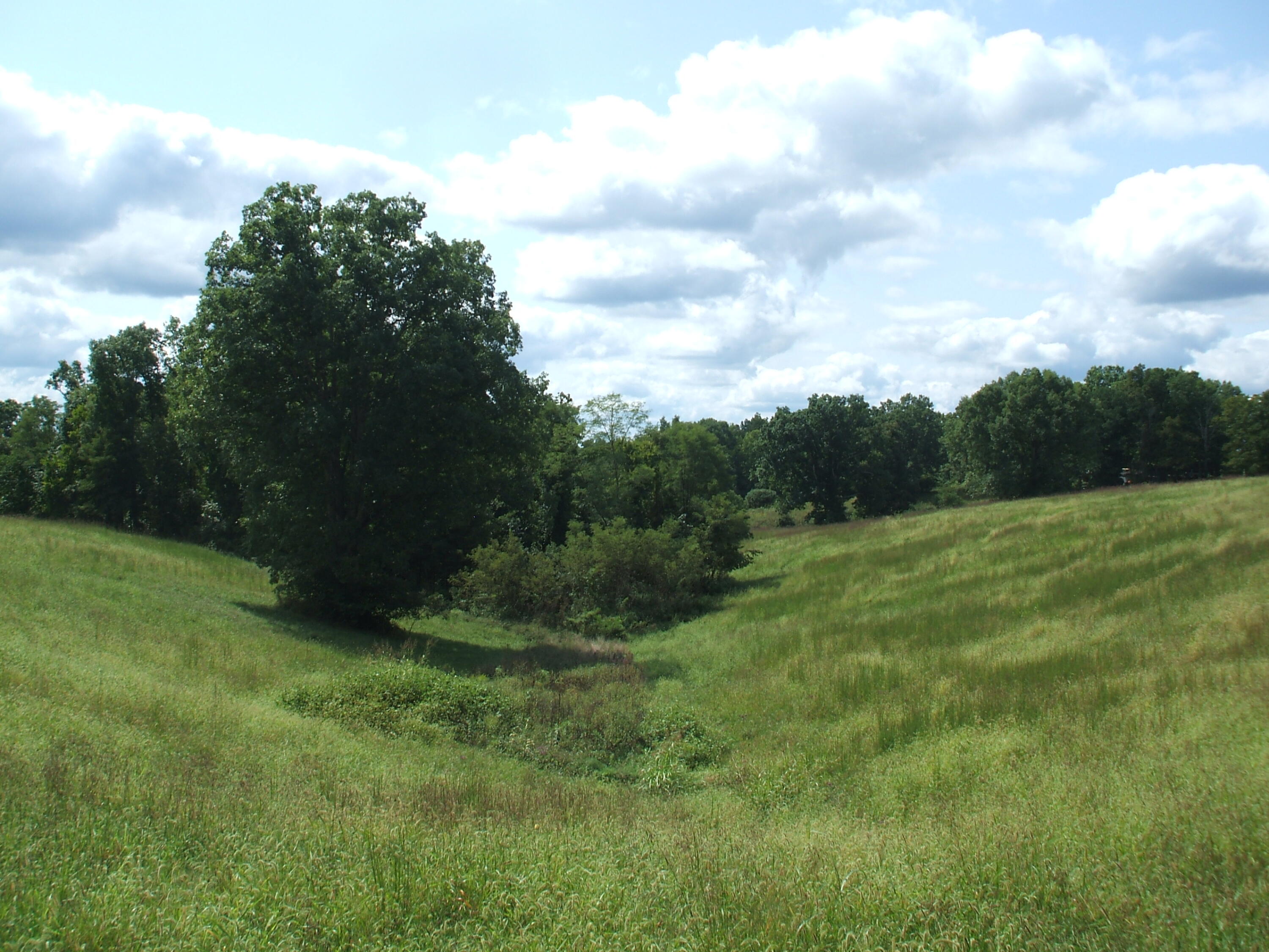 1499 Kays Road Lawrenceburg, KY 40342 - Photo 1 of 9 DSCF7779