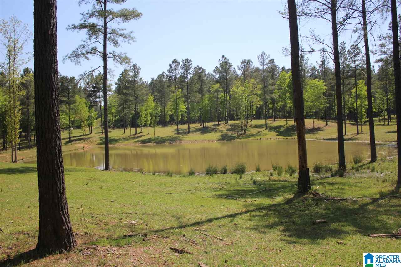 0 Alston Farm Road, Unit 1 Columbiana, AL 35051 - Photo 2 of 8