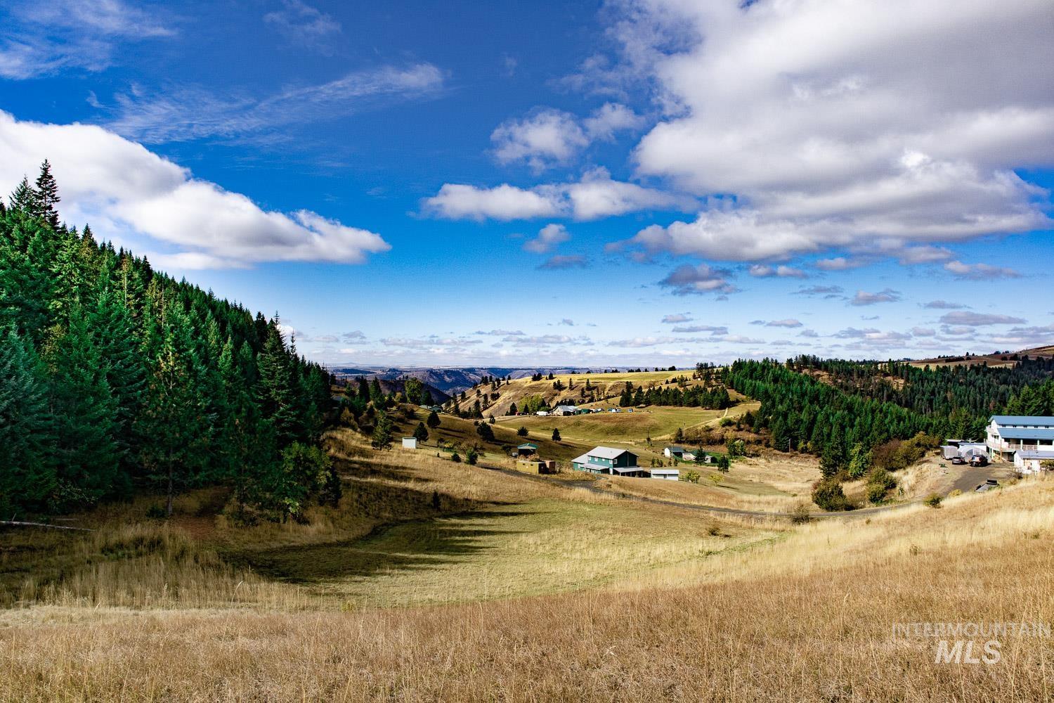 134 Shenandoah First Street Kamiah, ID 83536 - Photo 1 of 1