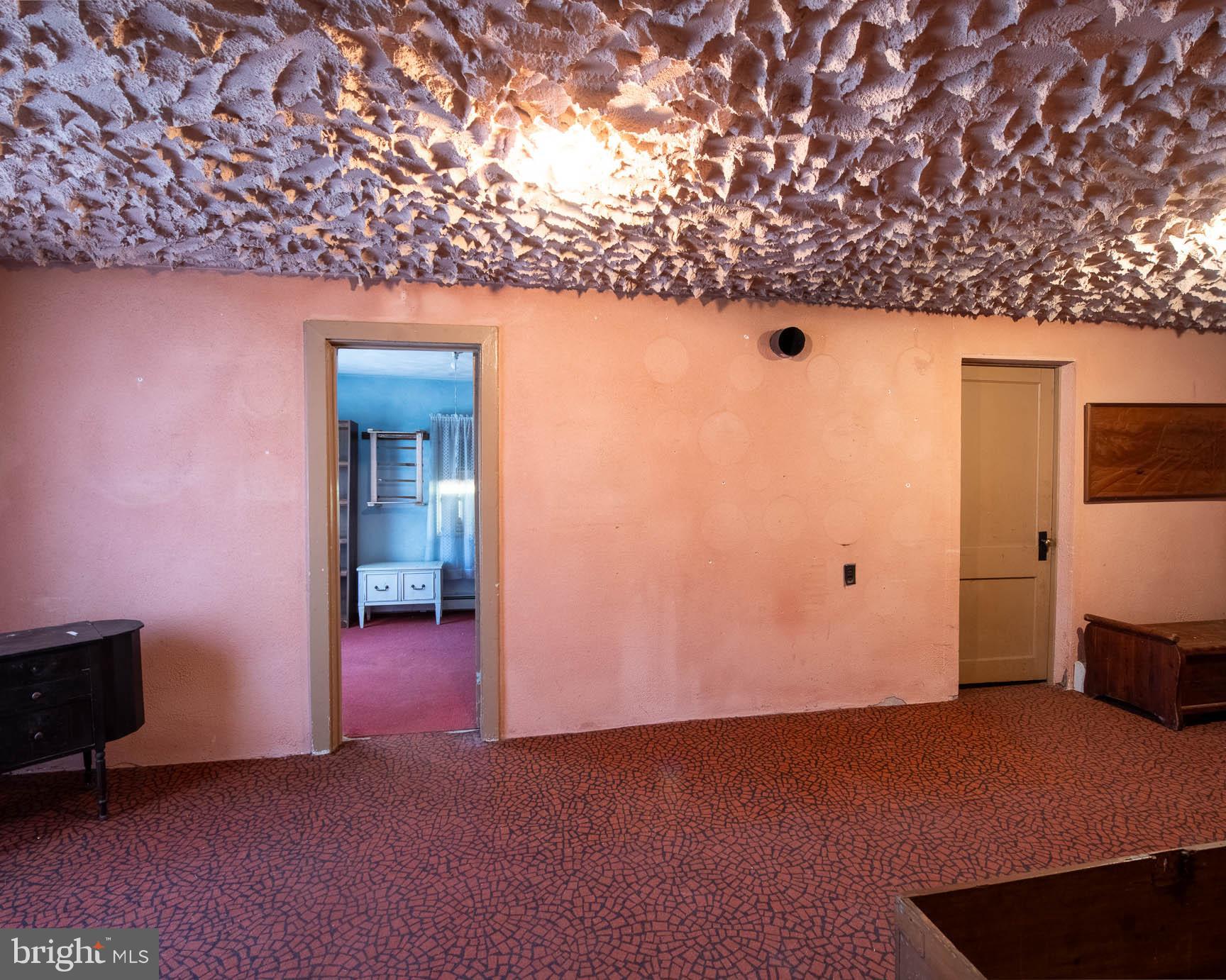 1822 Detweiler Road Pottstown, PA 19464 - Photo 19 of 61 Unique stalactite ceiling