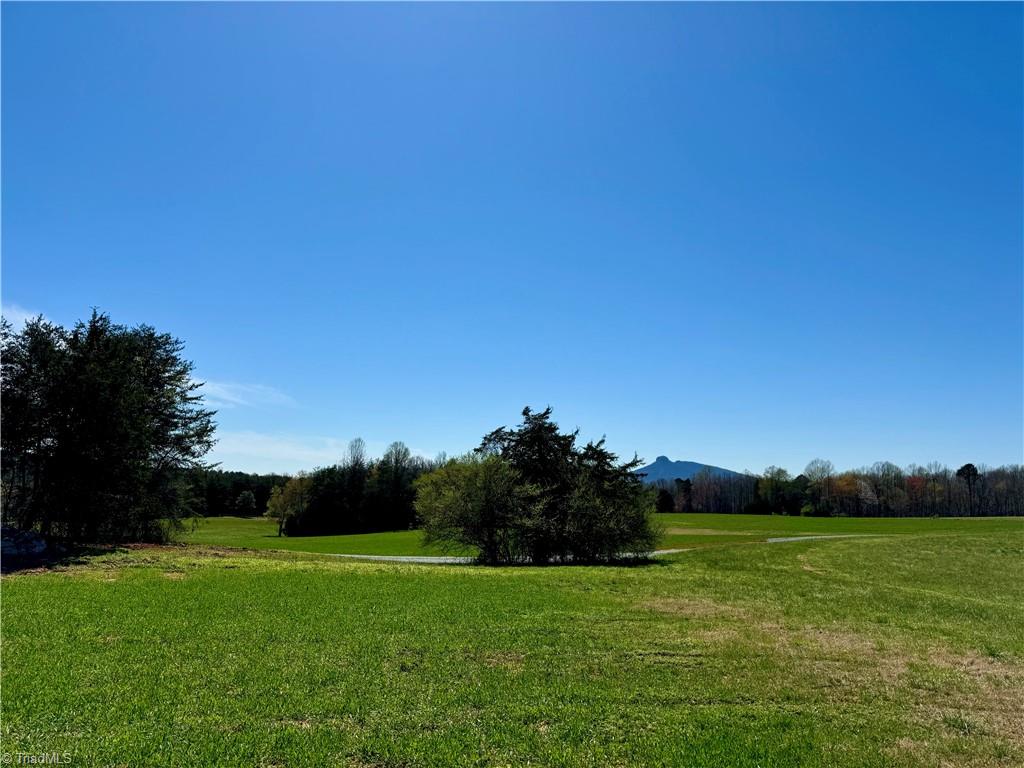 6 Old Mill Road Pinnacle, NC 27043 - Photo 5 of 29