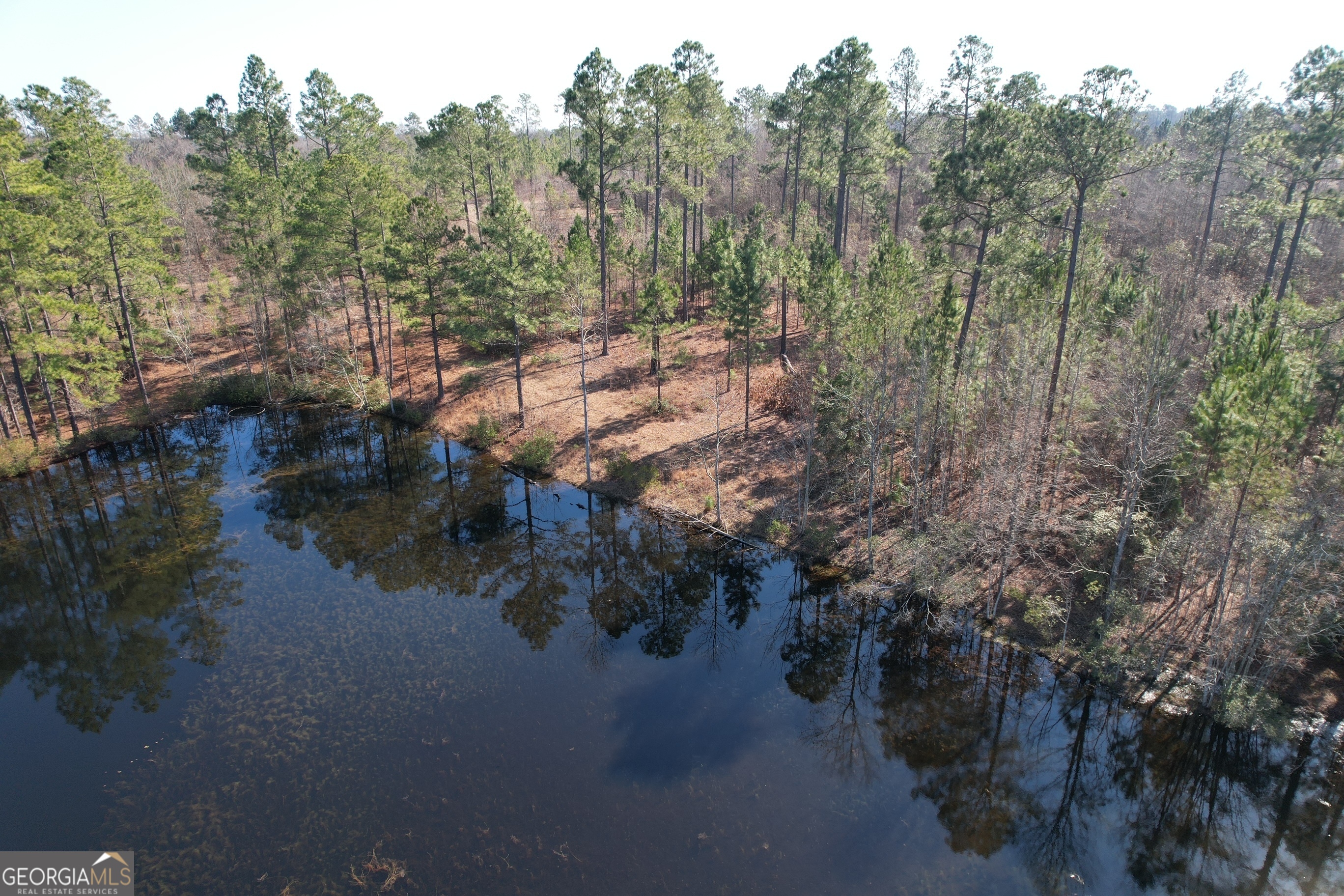 2 Chop Road Statesboro, GA 30461 - Photo 2 of 7