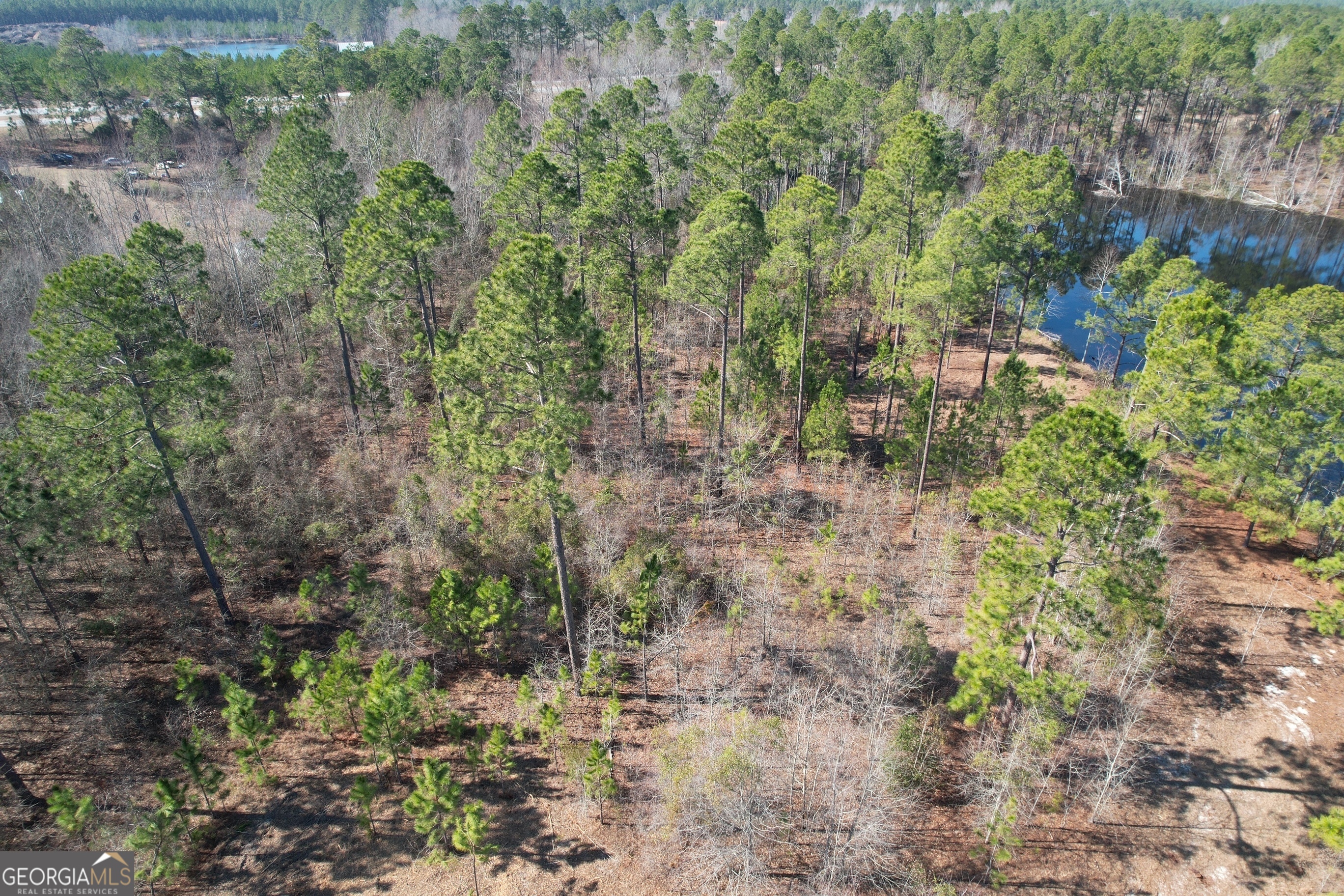 2 Chop Road Statesboro, GA 30461 - Photo 3 of 7