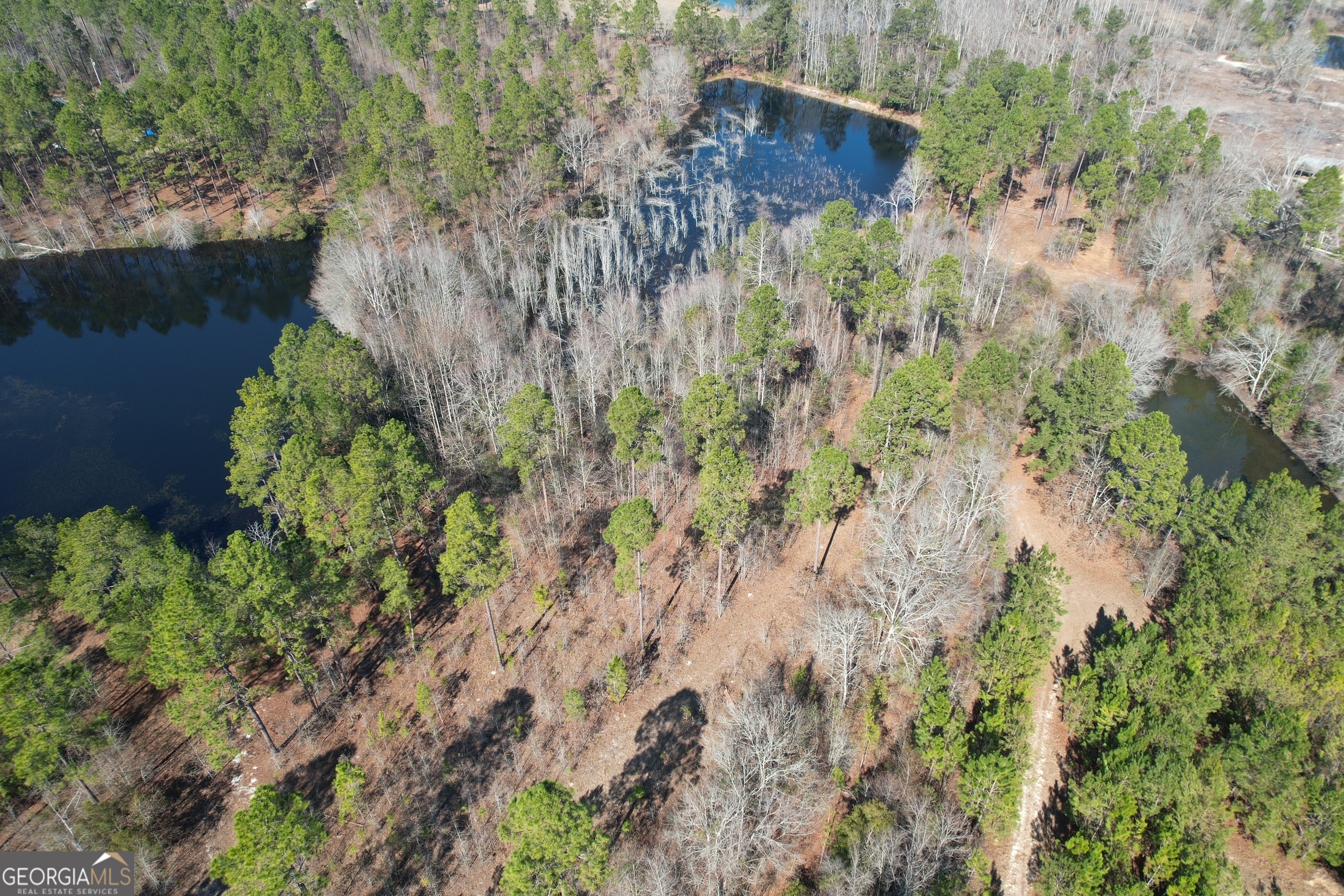 2 Chop Road Statesboro, GA 30461 - Photo 4 of 7