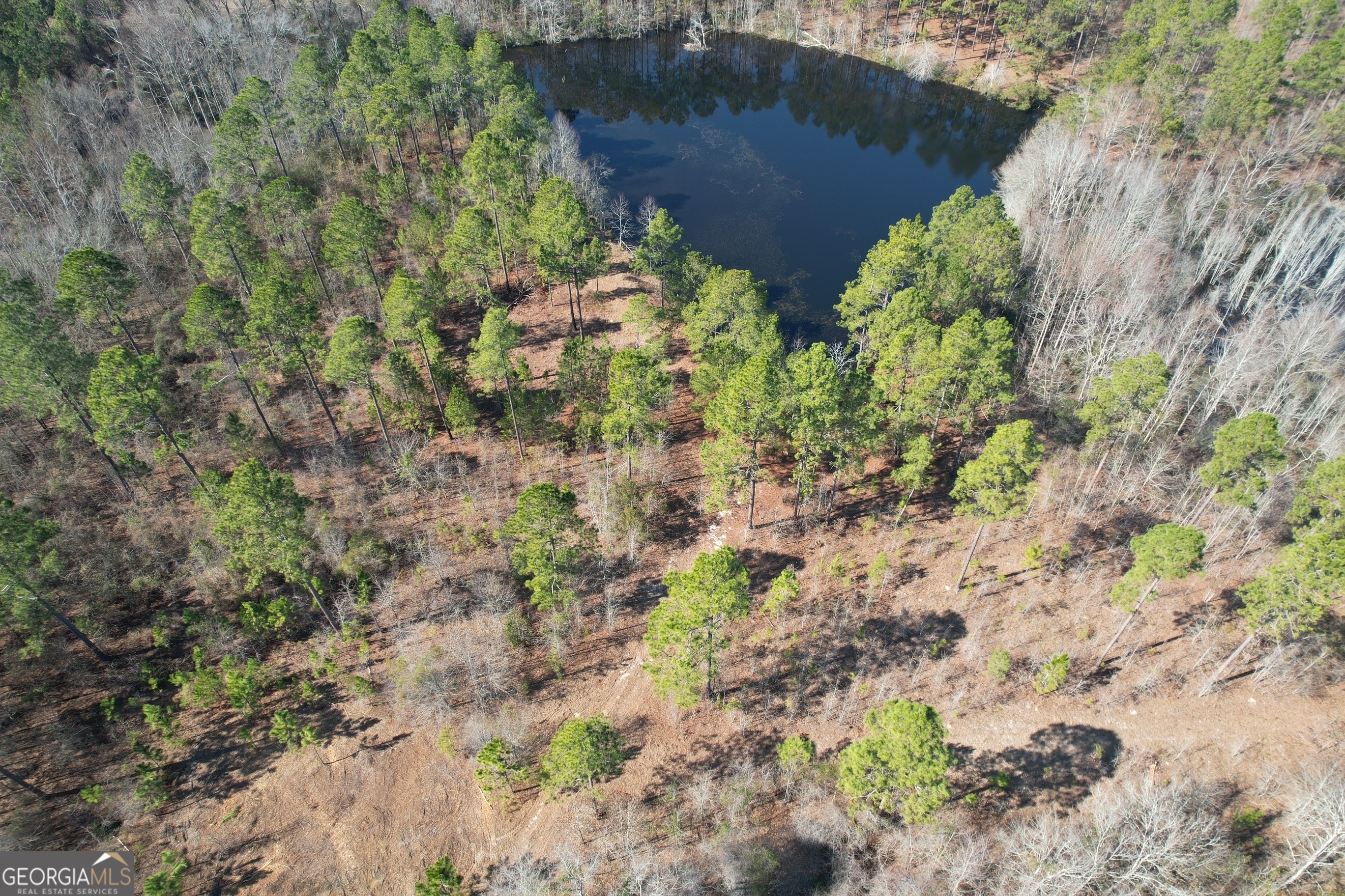 2 Chop Road Statesboro, GA 30461 - Photo 5 of 7