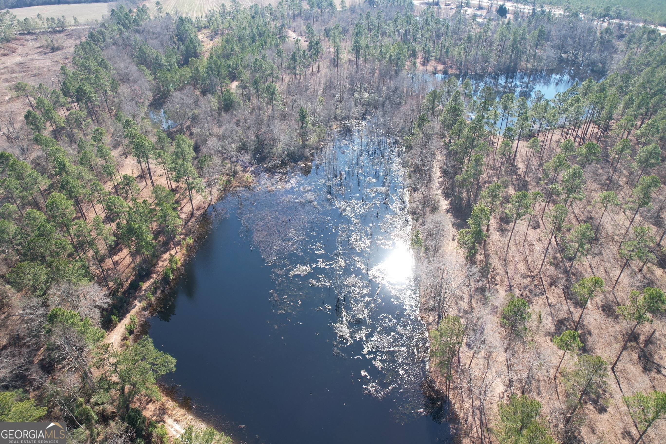 2 Chop Road Statesboro, GA 30461 - Photo 6 of 7